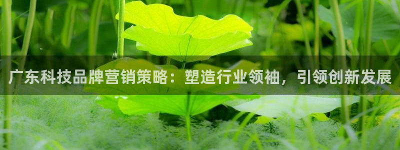 金年会官方在线登录网址是什么意思