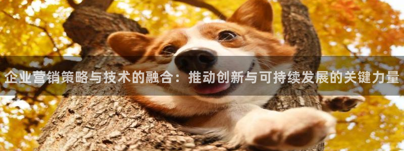 金年会官方登录入口网址