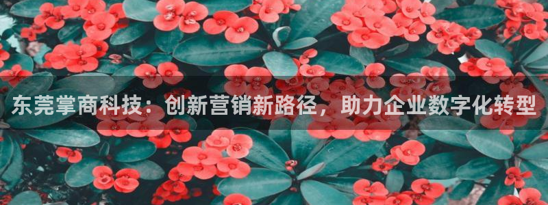 金年会网登录平台入口金年会