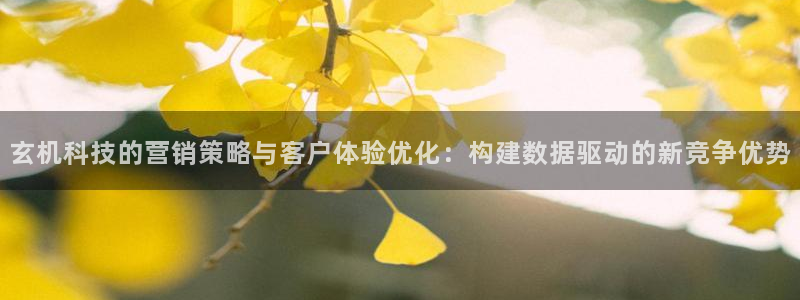 金年会官方入口app