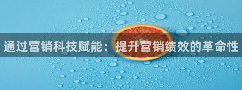 金年会 金字招牌诚信至上网址