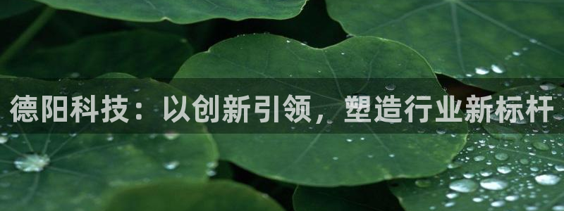 金年会网页版登陆入口