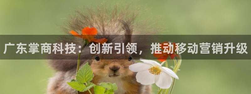 金年会 金字招牌诚信至上Vip