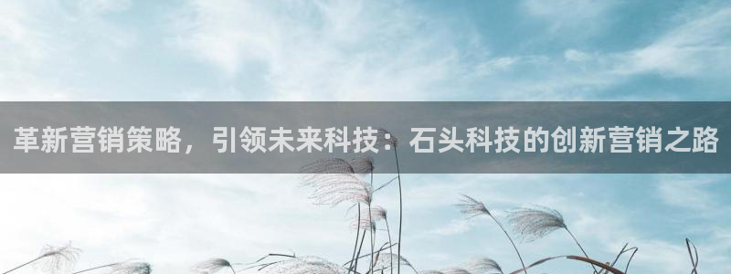 金年会官方平台是什么